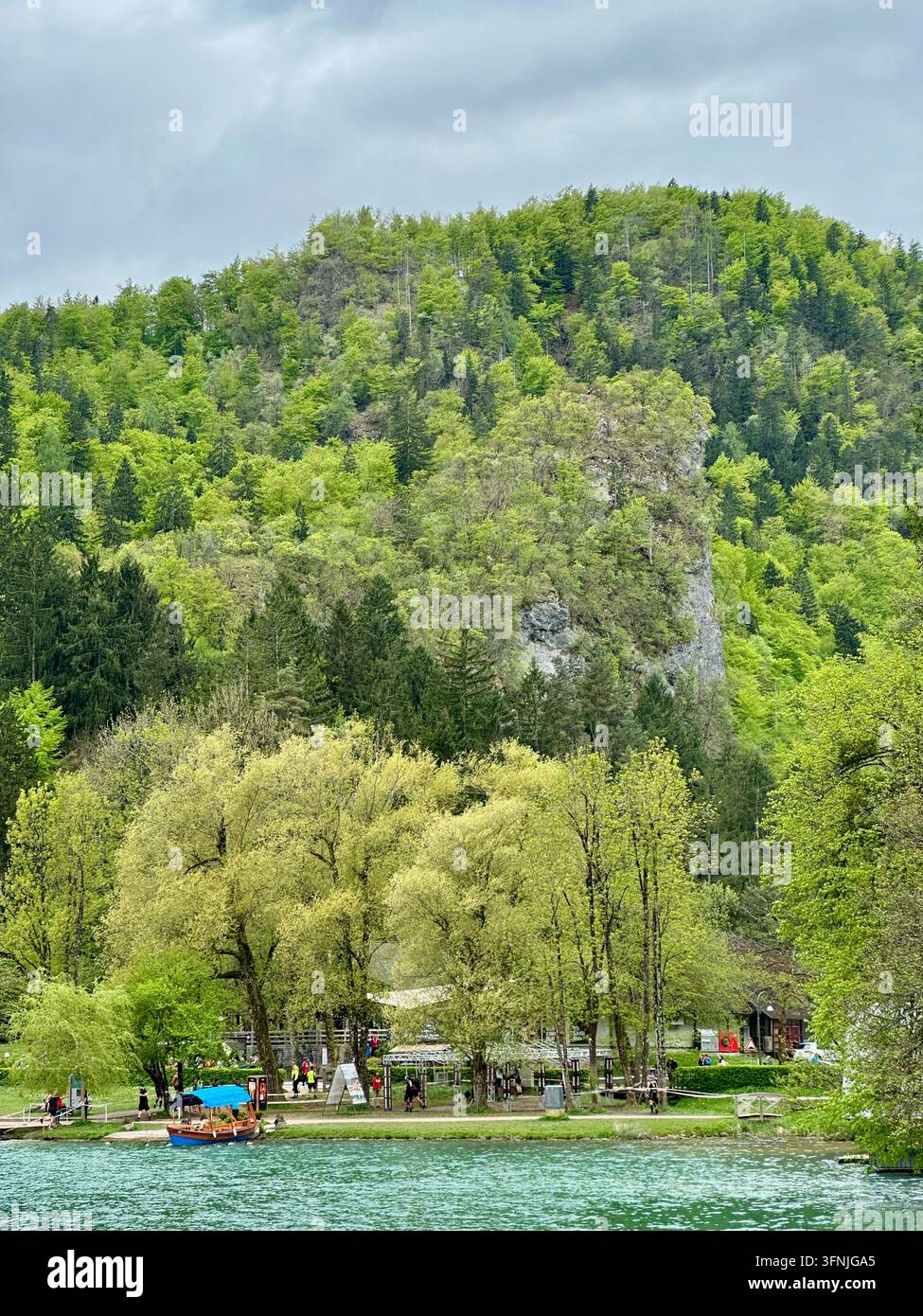 Colline boisée avec une paroi rocheuse au-dessus de la rive ouest du lac de Bled avec un bateau pletna à la jetée, Bled, Slovénie Banque D'Images