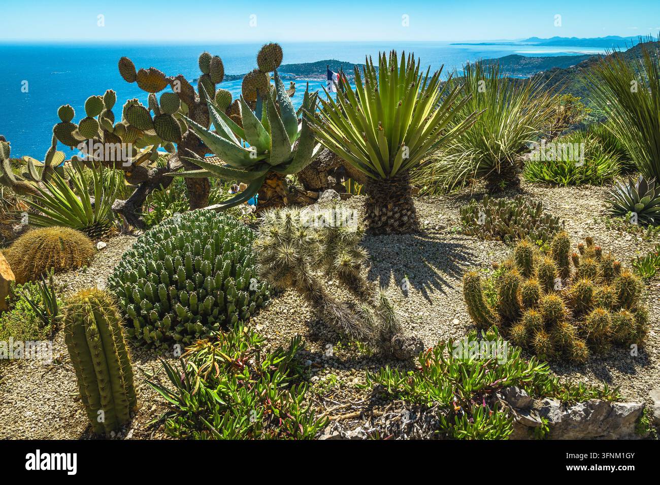 Superbe vue avec la mer Méditerranée depuis le magnifique jardin botanique d'Eze, Provence Alpes Côte d'Azur, France, Europe Banque D'Images