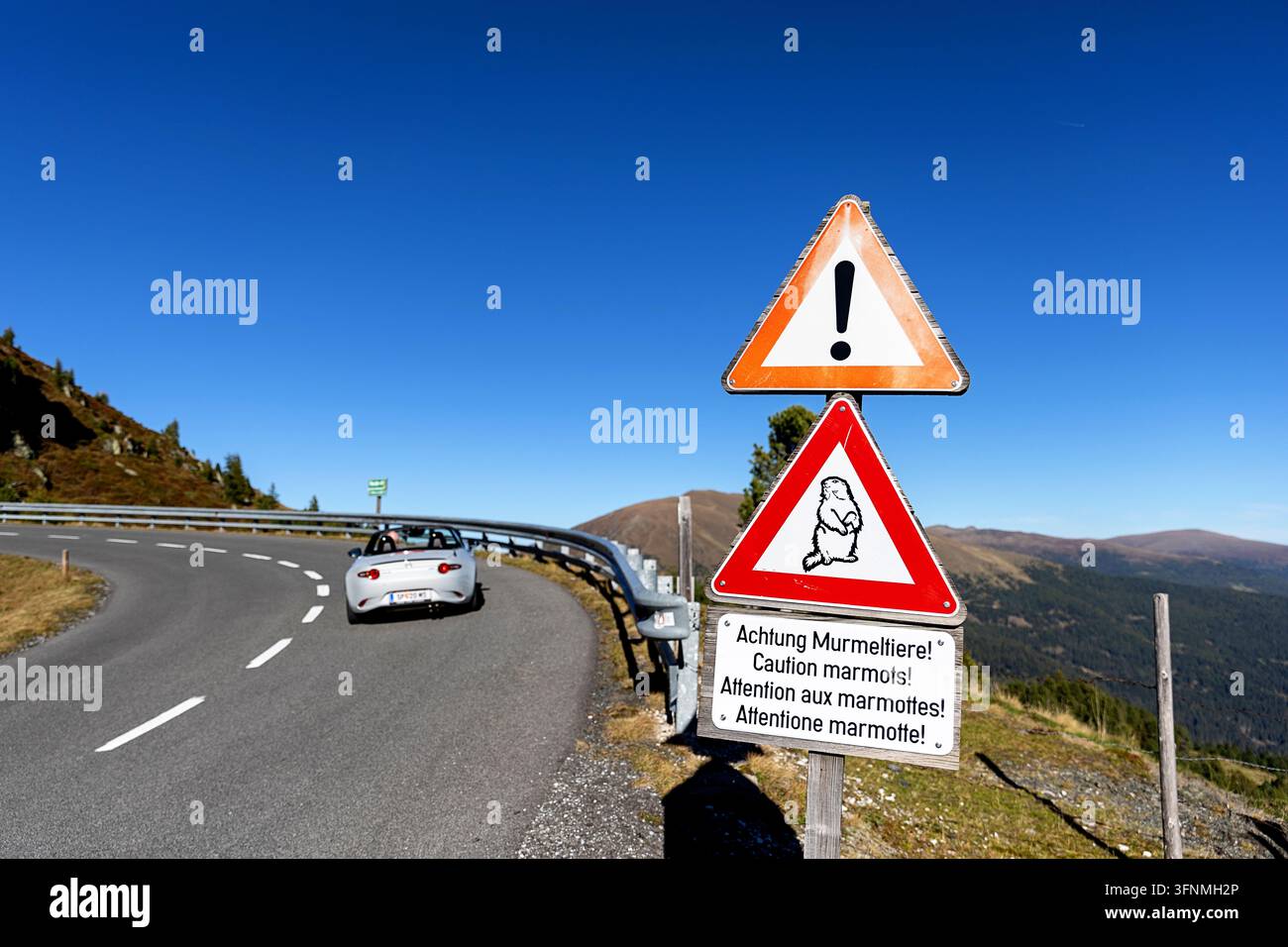 Un panneau d'avertissement triangulaire emblématique pour les marmottes se tenant à un virage asphalté abrupt sur la route de Nockalm en Autriche pendant un automne coloré. Banque D'Images