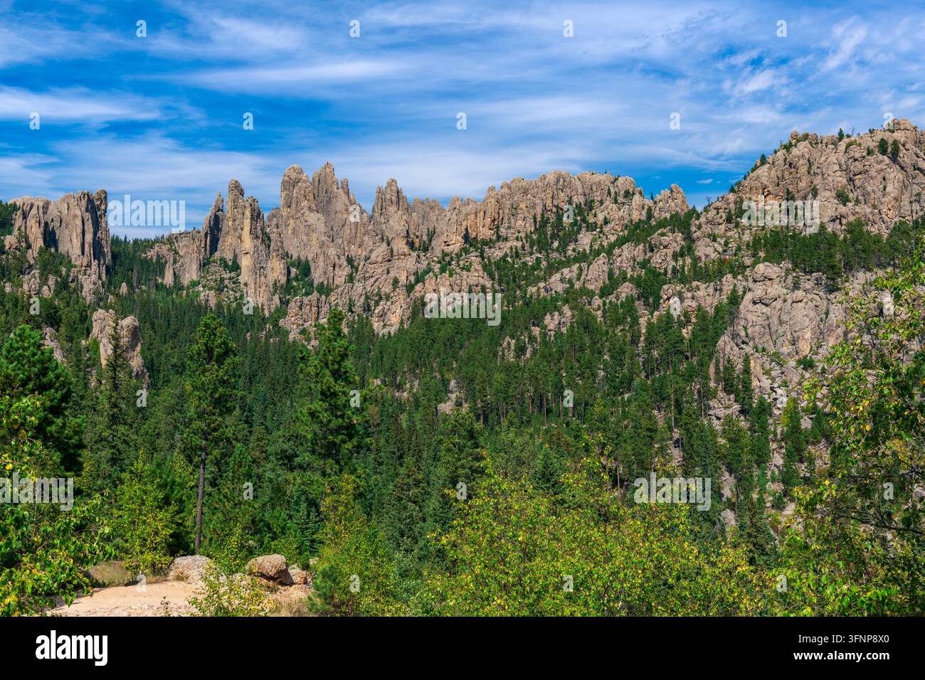 Les flèches de la cathédrale dans le parc d'État de Custer Banque D'Images