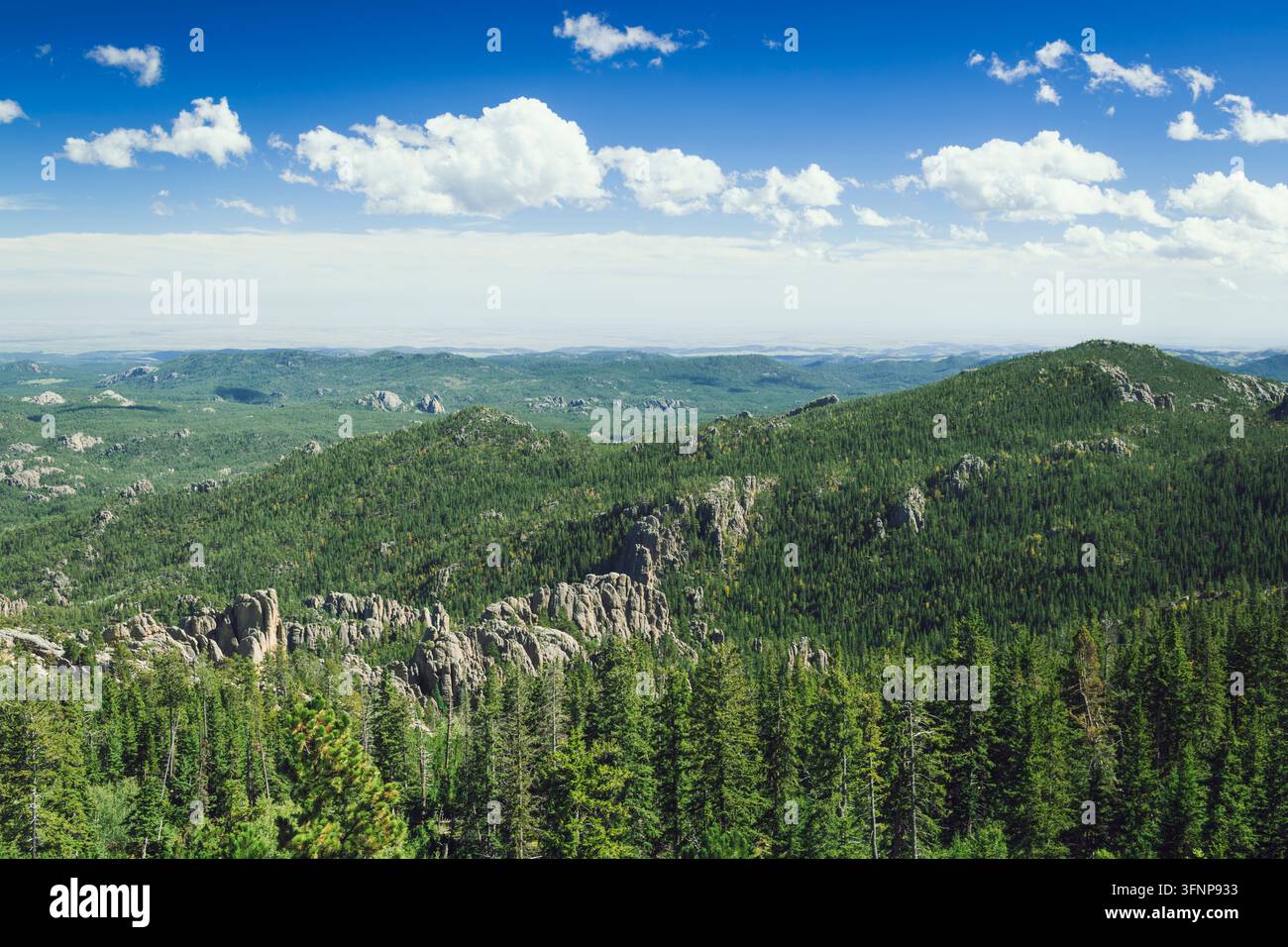 La forêt de pins des Black Hills et le pic de granit Banque D'Images