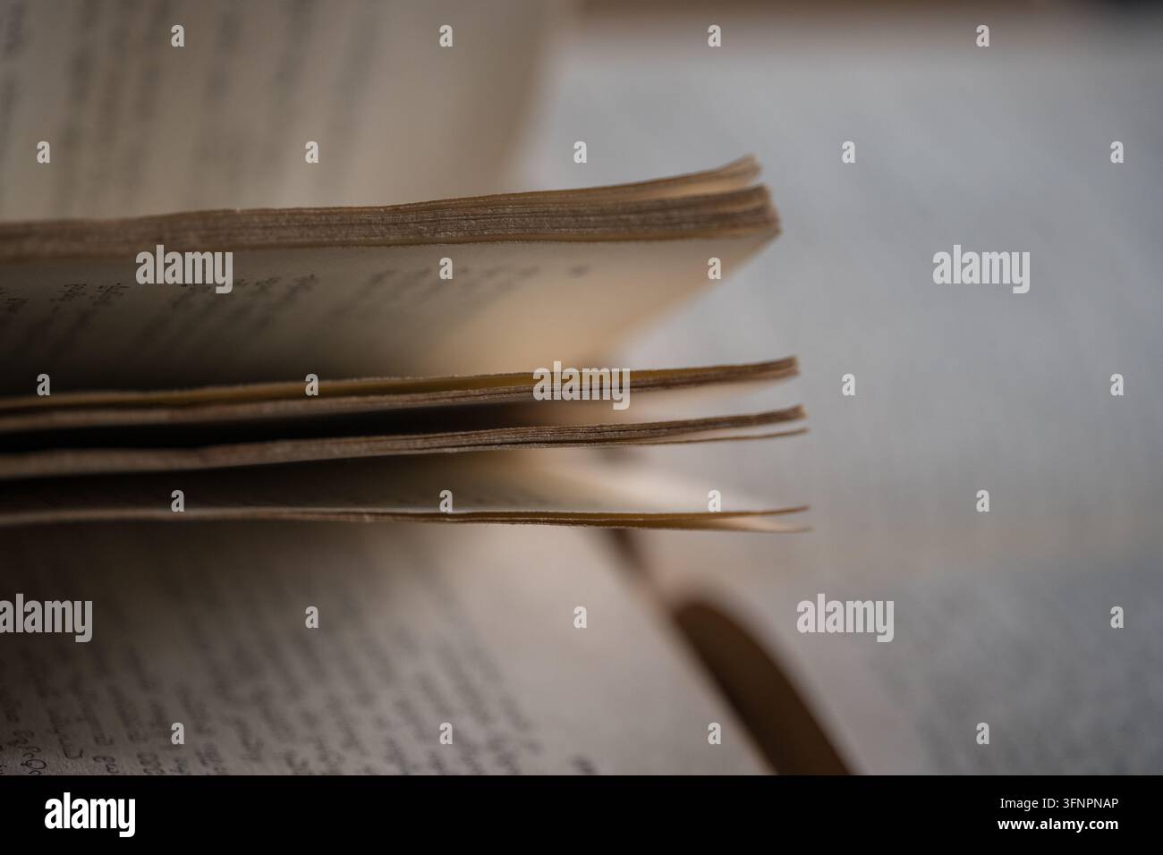 Ancien livre ouvert, révélant des pages jaunies et des bords texturés, symbolisant l'apprentissage, l'histoire et la sagesse Banque D'Images