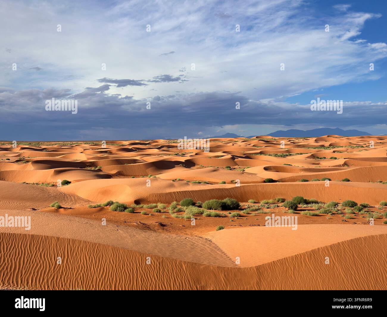 Dunes de sable orange sous des nuages orageux dans le sud de l'Utah - Image de stock capturée avec un smartphone