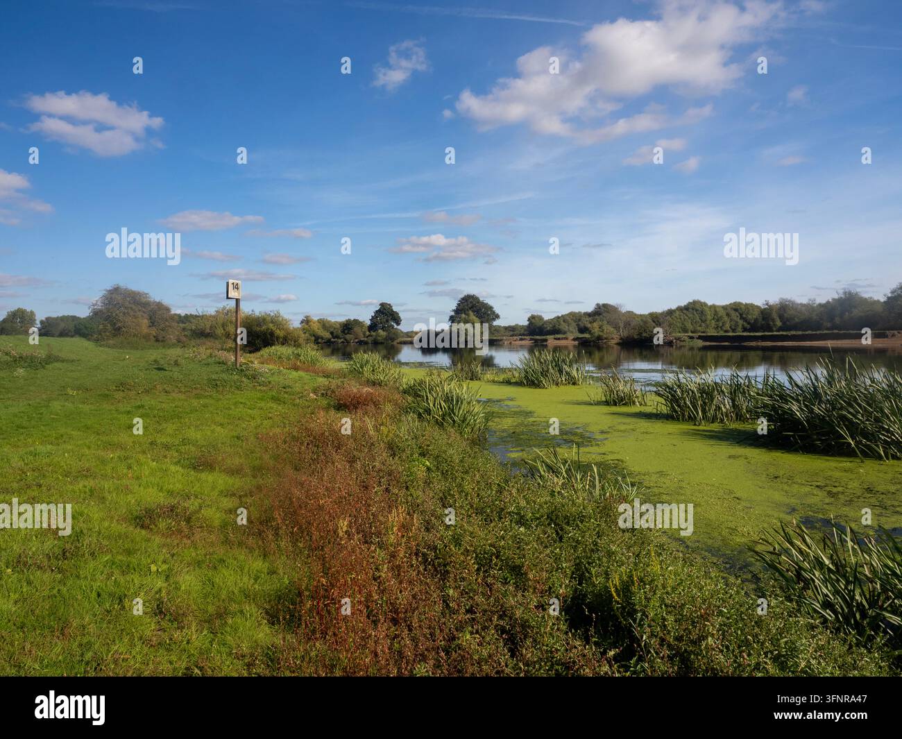 Une promenade le long de la rivière Trent dans le Nottinghamshire Banque D'Images