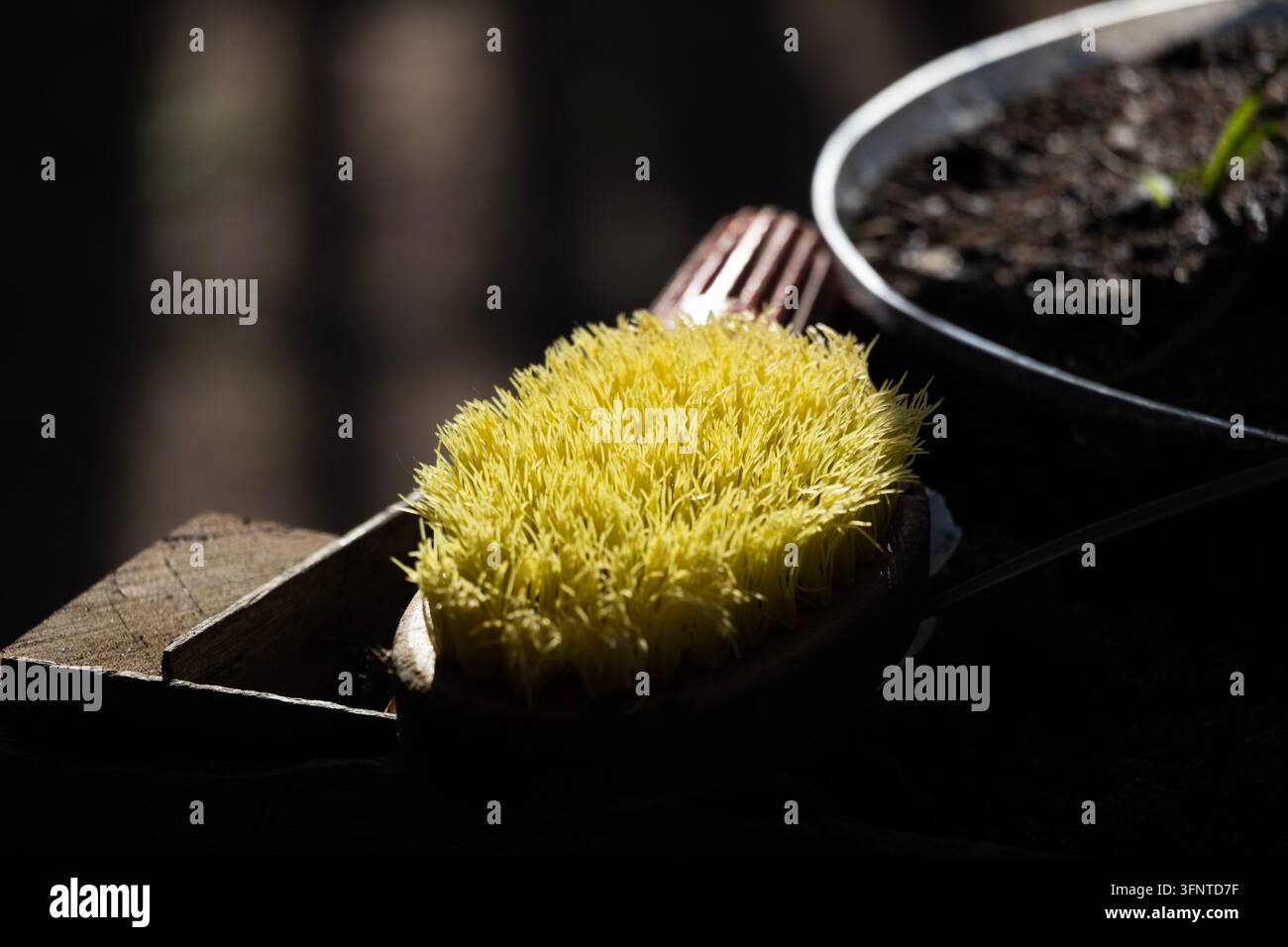 Grossissement d'une brosse à poils jaunes et de raccords d'irrigation sous la lumière naturelle du soleil Banque D'Images