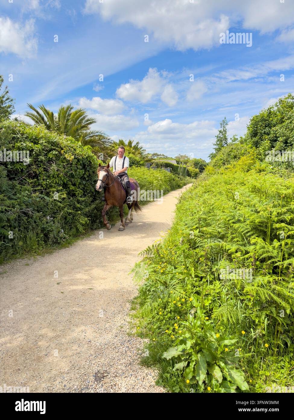 Agriculteur irlandais montant un cheval sur un chemin de gravier, Howth, Dublin, Irlande Banque D'Images