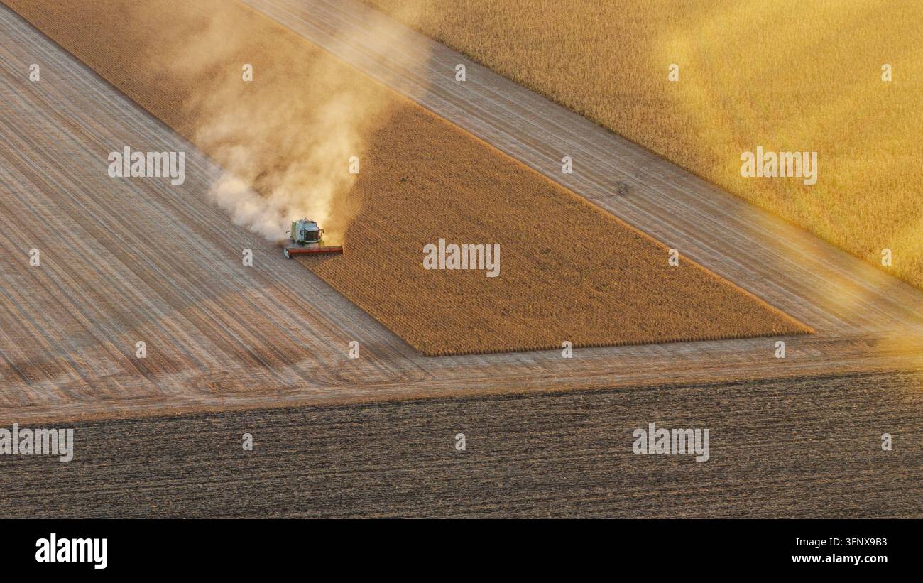 Une vue aérienne capture un moissonneur- conditionneur vert travaillant efficacement dans un vaste champ de soja. La machine récolte activement les graines de soja mûres Banque D'Images
