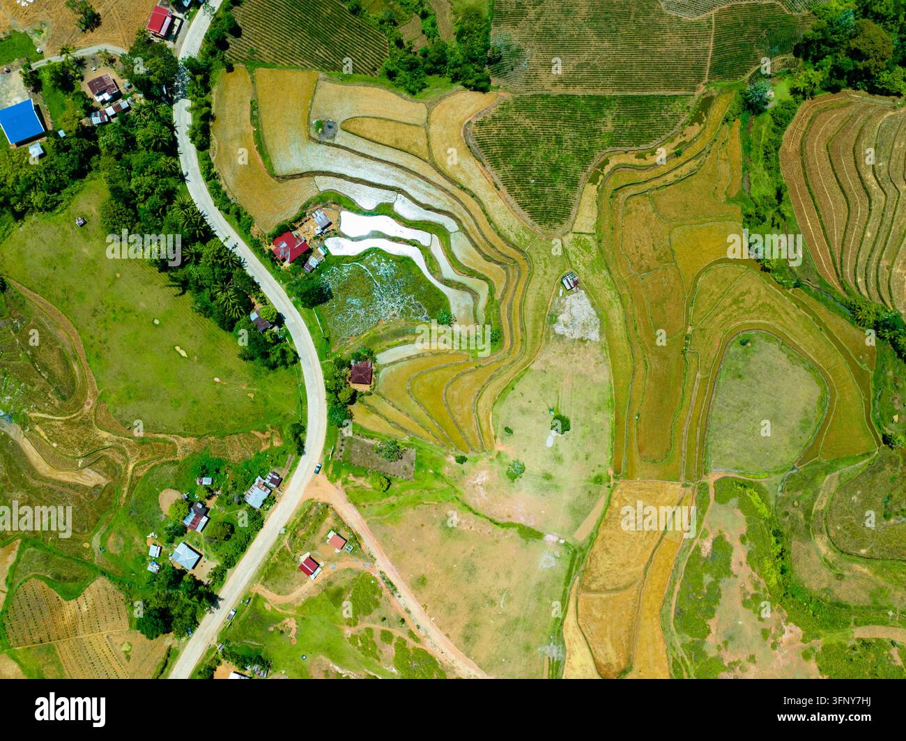 Vue aérienne sur le paysage agricole avec les terres agricoles à la campagne. Negros, Philippines Banque D'Images
