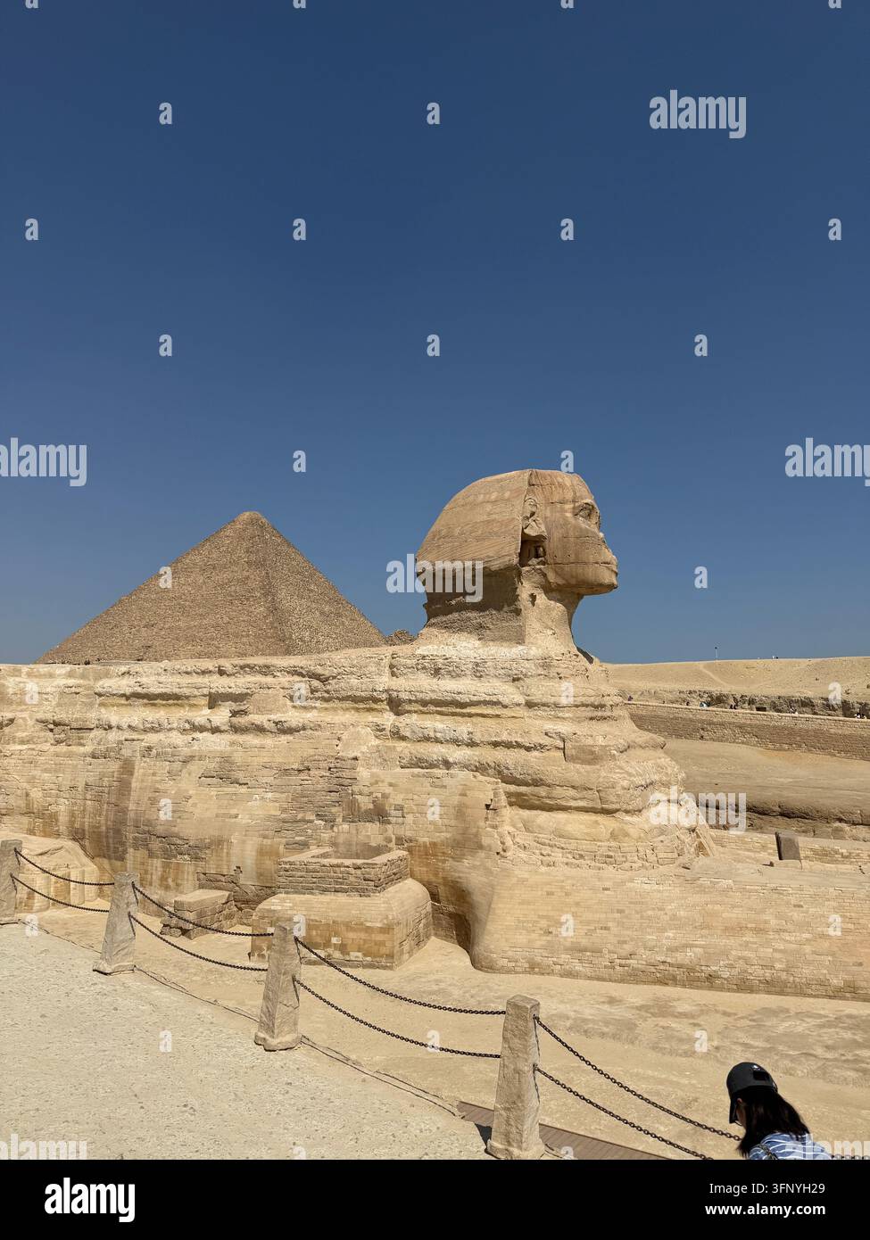 Grande Sphinx de Gizeh avec fond de pyramide sur le plateau de Gizeh en Égypte Banque D'Images
