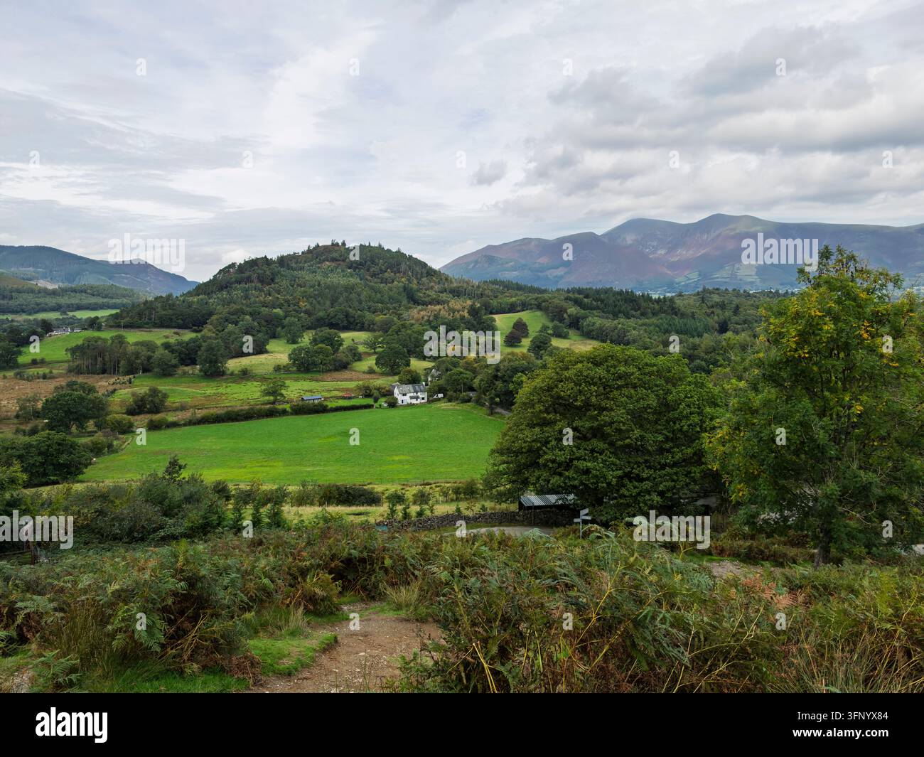 Début du sentier menant à Cat Bells avec vue sur Swinside, Cumbria, Royaume-Uni Banque D'Images