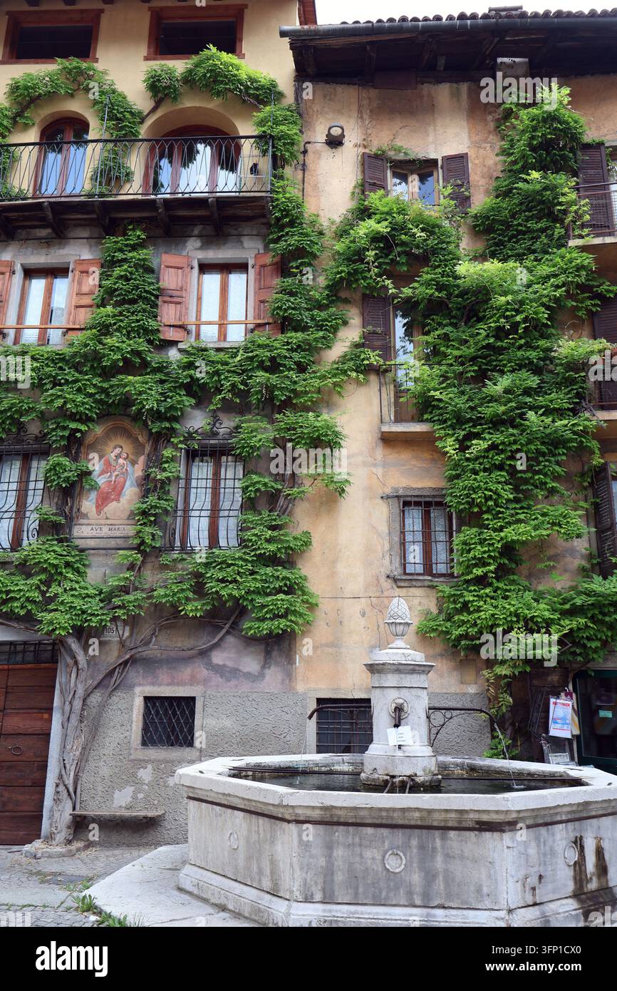 Fontaine octogonale en marbre Botticino sur la Piazza Consiglio devant une façade de maison couverte de glycines dans le village historique de Bagolino, Italie. Banque D'Images
