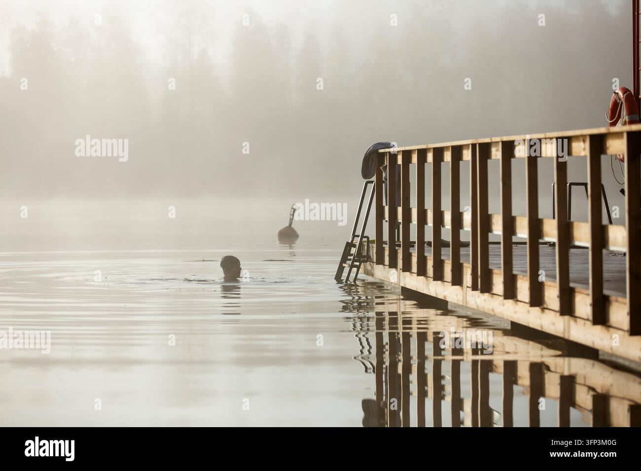 Un homme d'âge moyen nage dans un lac brumeux et froid d'automne près d'une jetée en bois avec une échelle pendant une matinée paisible en Finlande. Banque D'Images