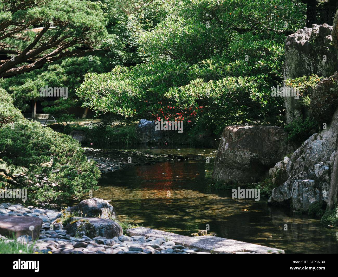 Ruisseau de jardin japonais avec des rochers, des pins et des fleurs d'azalée rouges au Palais impérial de Kyoto, Kyoto, Japon Banque D'Images