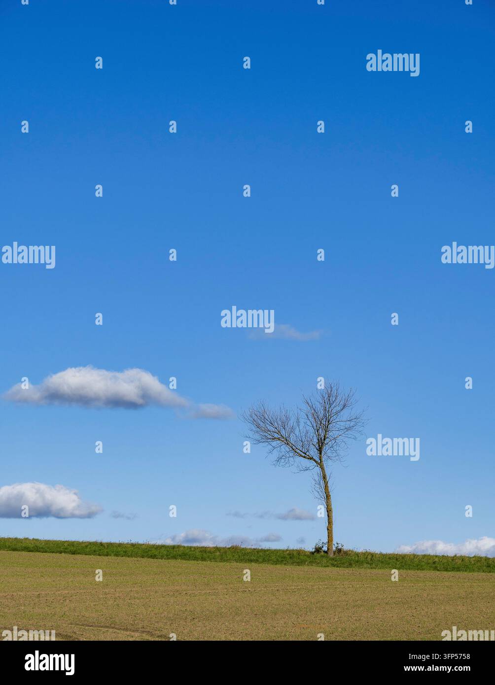 Paysage dans la Lommatzscher Pflege près de Leutewitz 1 Banque D'Images