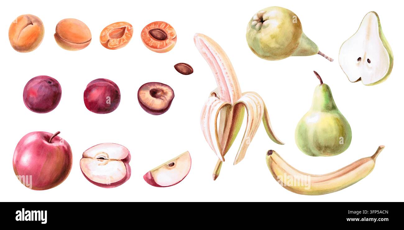 Ensemble de fruits en aquarelle. Illustrations détaillées pour les restaurants, les blogs alimentaires, les marques de produits alimentaires, les fermes, les épiceries, les étals de produits frais, les bars à jus, les enfants m Banque D'Images