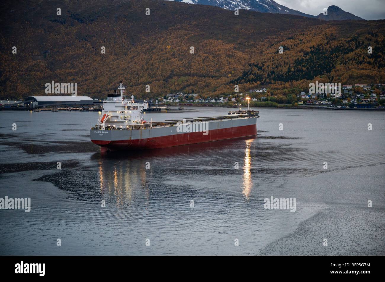 Un grand cargo navigue à travers un port calme à Narvik, en Norvège avec des montagnes aux couleurs d'automne en arrière-plan Banque D'Images
