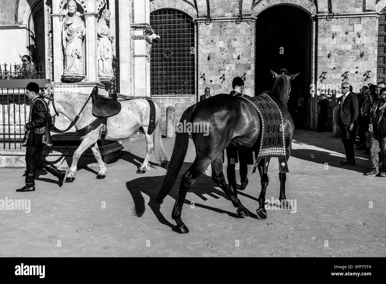 Le Cheval cérémoniel et le cheval de course de la Contrada del Torre participent à la procession historique sur la Piazza del Campo, le Palio, Sienne, Italie. Banque D'Images