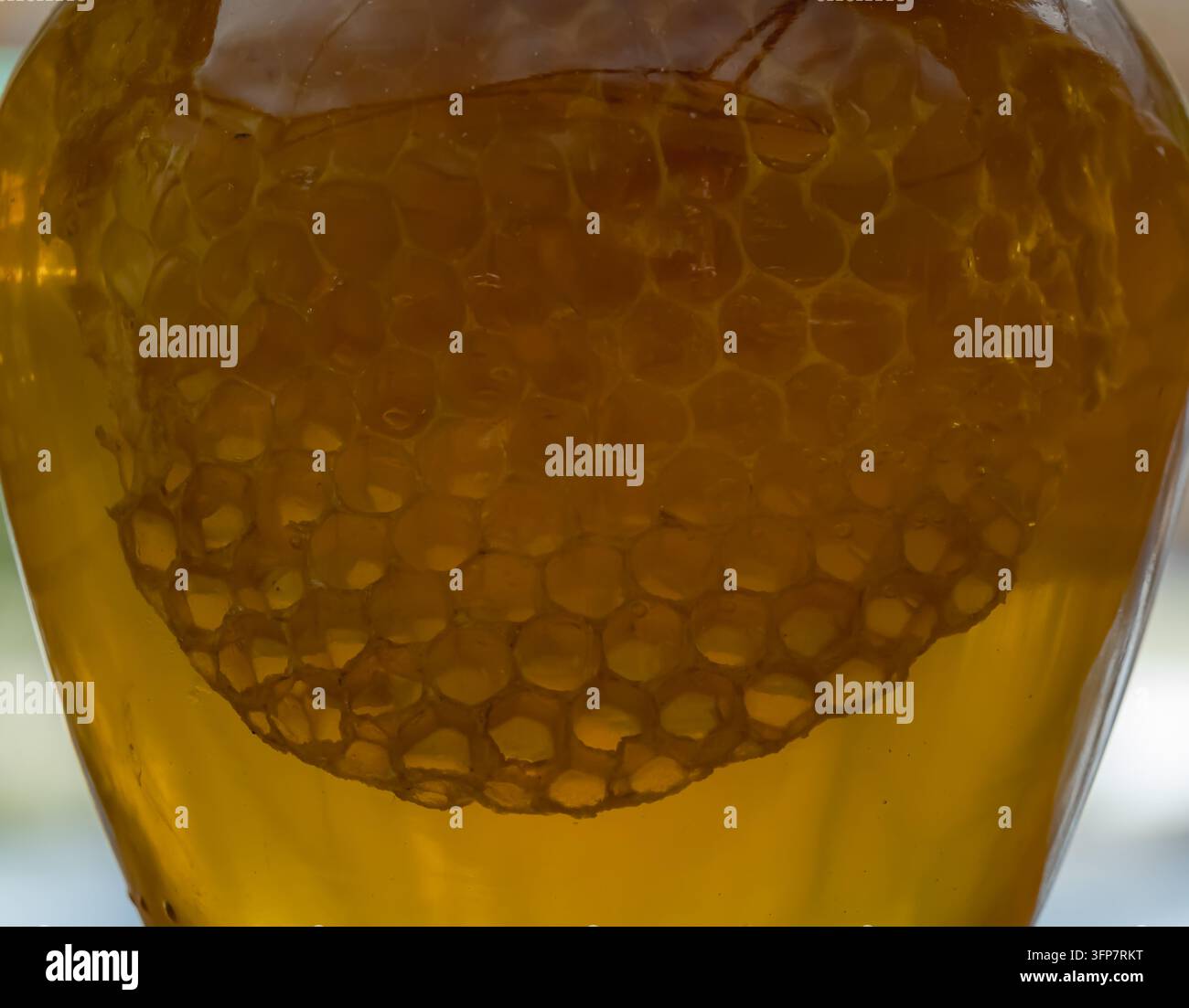 Close-up de plaques de miel immergées dans du miel doré à l'intérieur d'un bocal en verre, révélant les cellules hexagonales naturelles de cire et la riche couleur ambrée dans un détail texturé alimentaire Banque D'Images