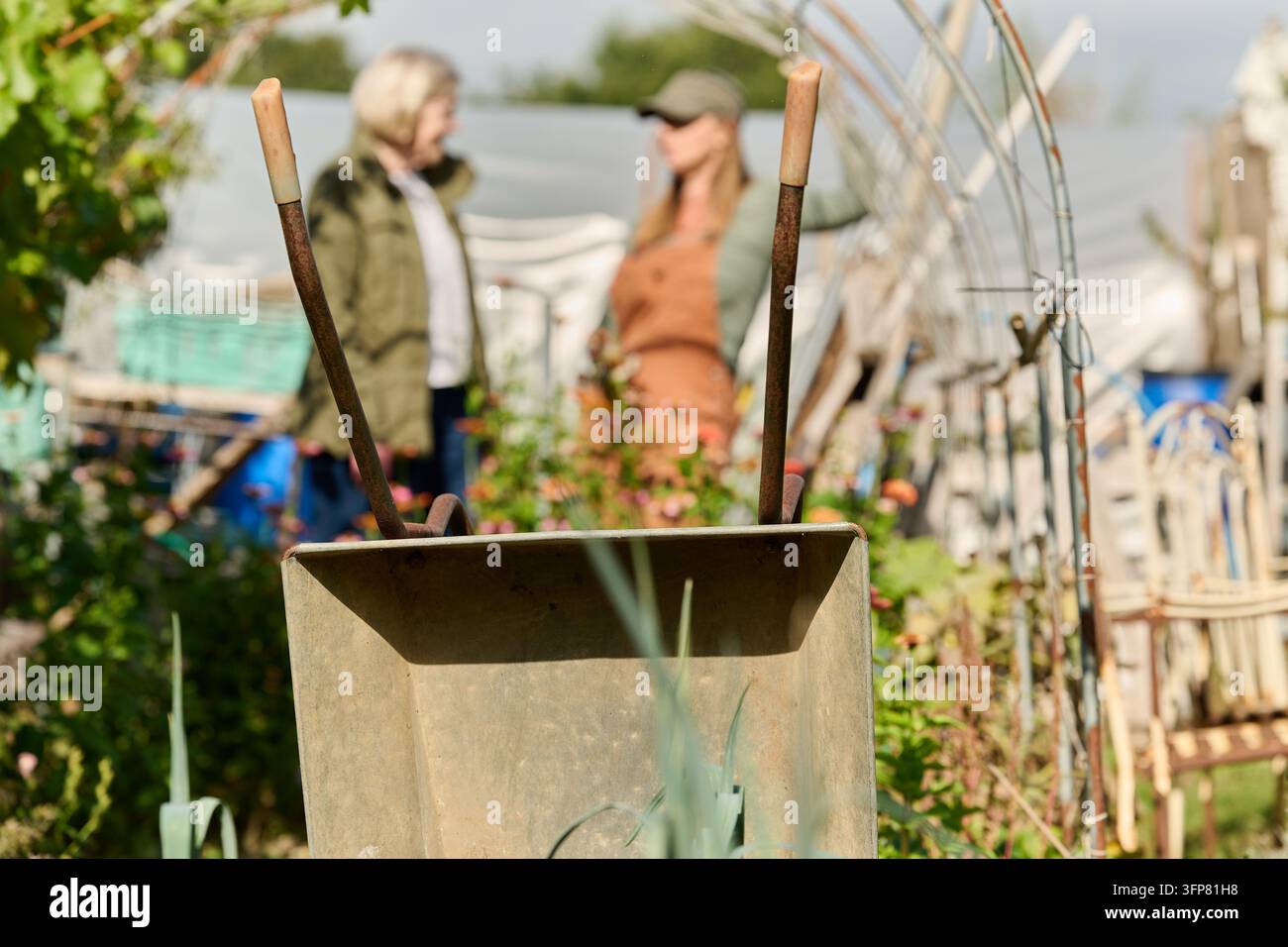 Une brouette de jardin domine l'avant-plan en mise au point nette tandis que deux femmes sont délibérément floues parmi les plantes et les structures du jardin derrière elle. Banque D'Images