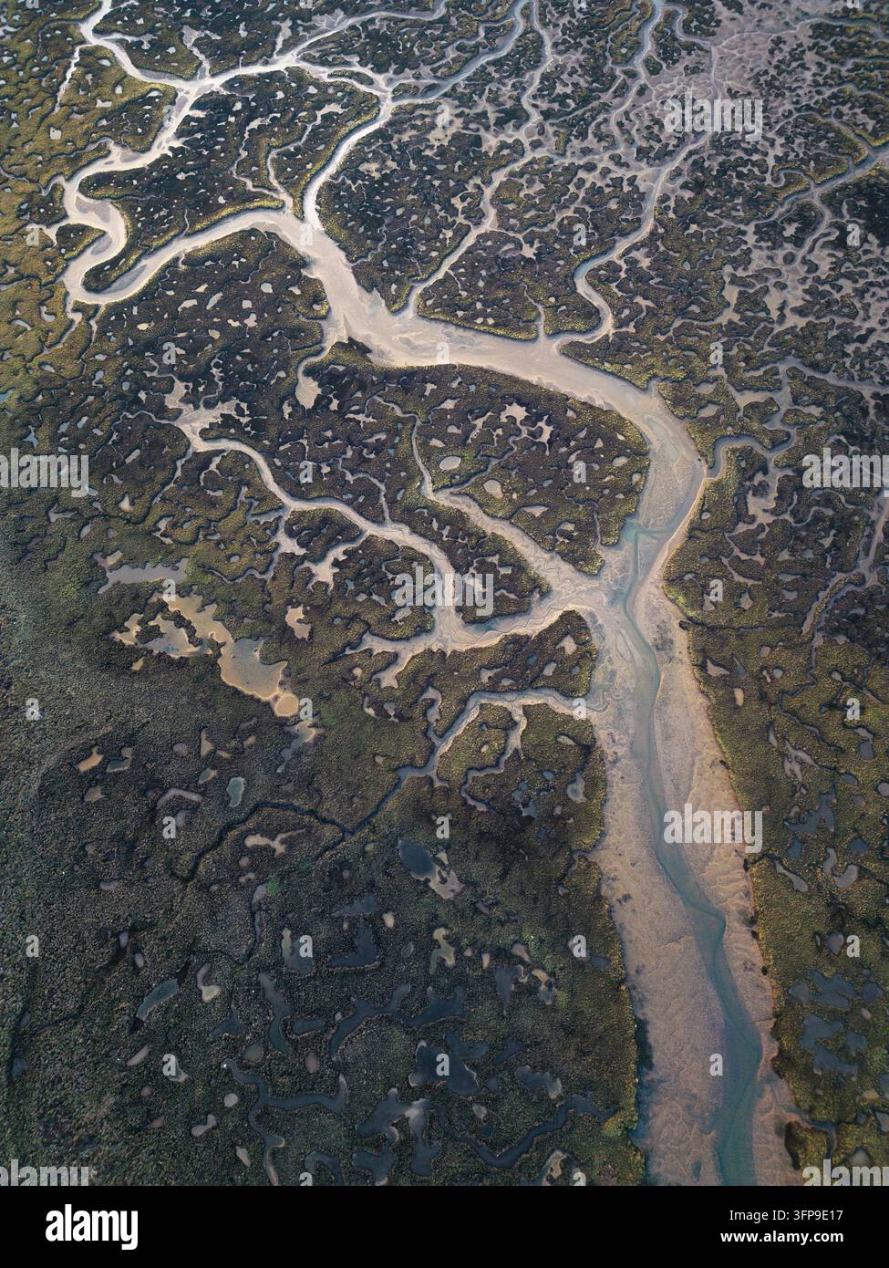 Un canal de marée sinueux à travers une végétation de marais salant sombre et des vasières pâles à Huelva, en Espagne. Banque D'Images