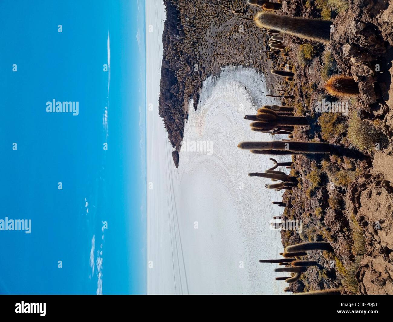 Salar de Uyuni, île Incahuasi Banque D'Images