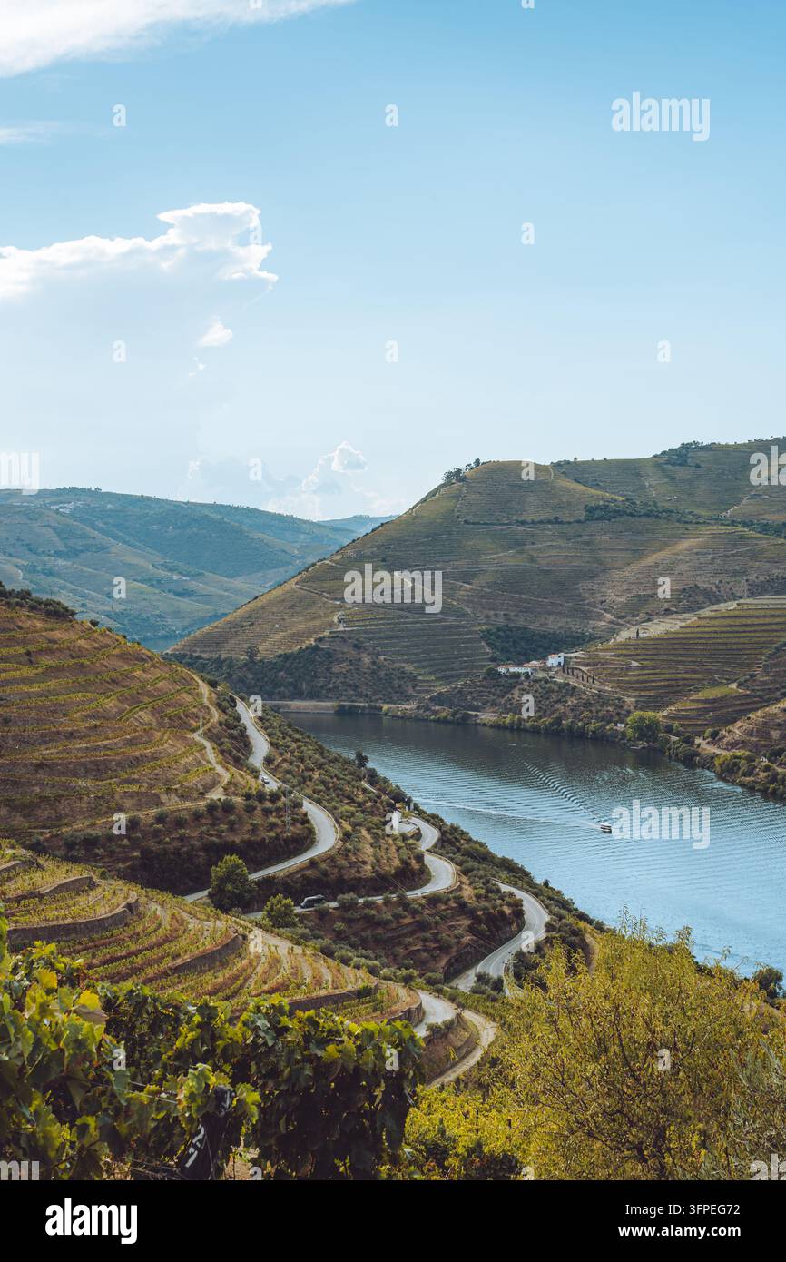 Vignobles pittoresques de la vallée du Douro à Valenca do Douro, Portugal Banque D'Images