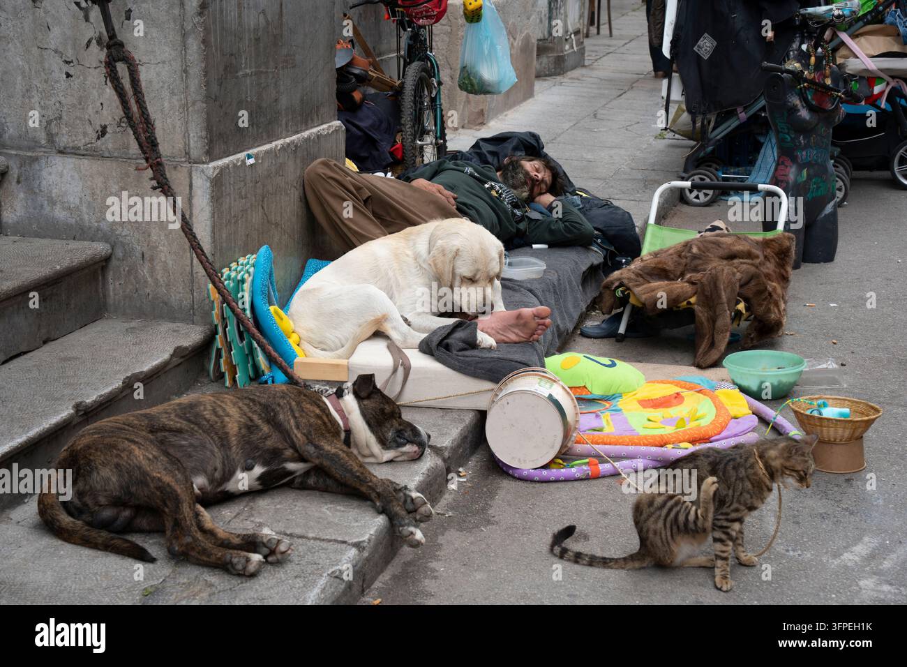 Homme sans-abri dormant sur un trottoir avec ses chiens de compagnie à Palerme, en Sicile, Italie. Scène de problèmes sociaux et de pauvreté urbaine Banque D'Images