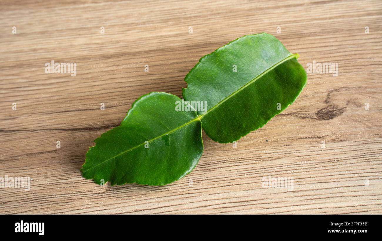 Feuilles de citron Kaffir vertes fraîches double feuille connectées sur une table en bois vue de dessus Banque D'Images