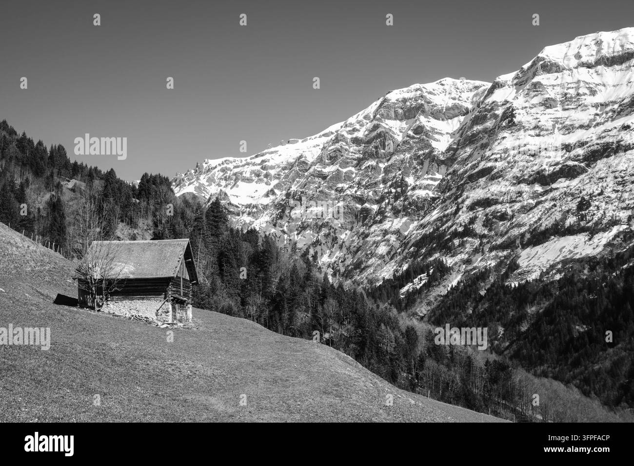 Scène alpine monochrome dramatique avec une vieille grange en bois sur une prairie en pente, une forêt de feuillus persistants et des pics enneigés imposants sous un ciel dégagé. Banque D'Images