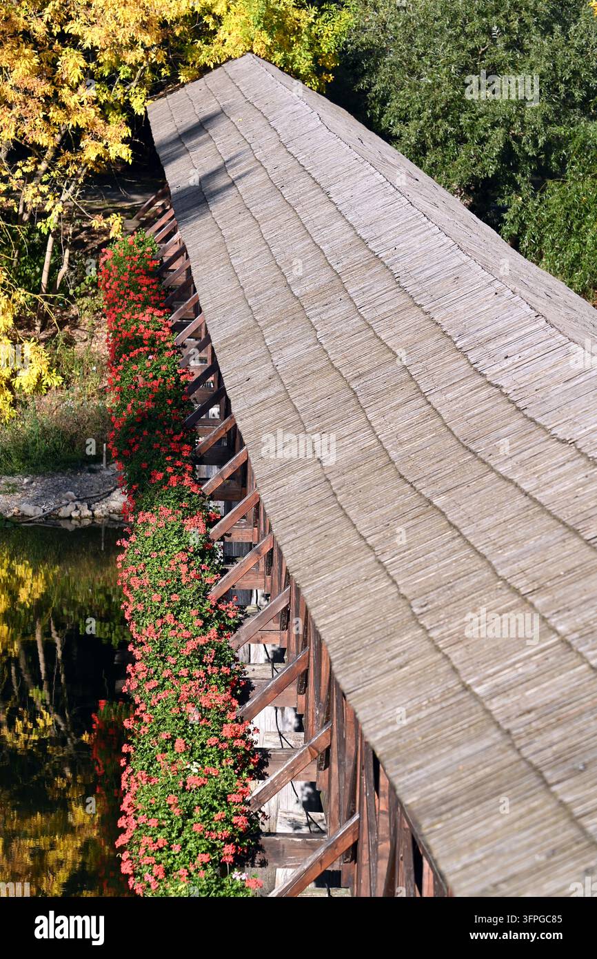 Toit d'un pont en bois couvert de tuiles en bois, près d'un moulin à eau flottant, Kolárovo, Slovaquie, en format vertical Banque D'Images