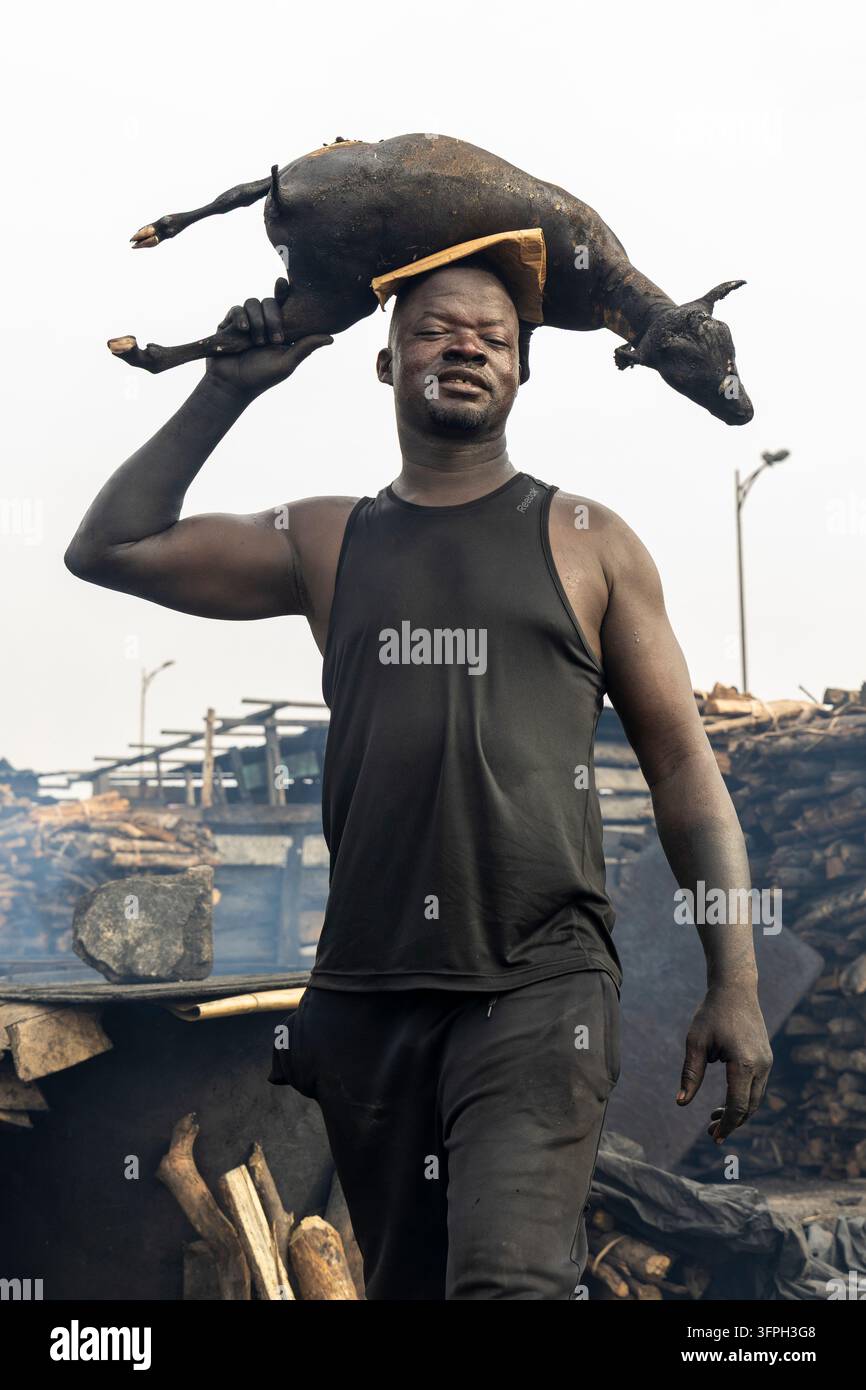 Un homme équilibre une carcasse d'animal fumée sur sa tête tout en la tenant par la patte près de piles de bois de chauffage, Région de Greater Accra, Accra, Ghana Banque D'Images