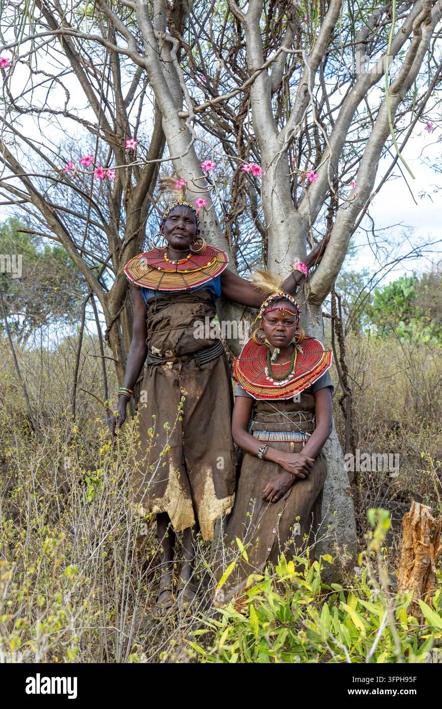 Deux femmes de la tribu Pokot portant des colliers de perles et des bandeaux de plumes, debout et assises à côté d'un arbre avec des fleurs de rose du désert roses, Narok, Chepilat, Kenya Banque D'Images
