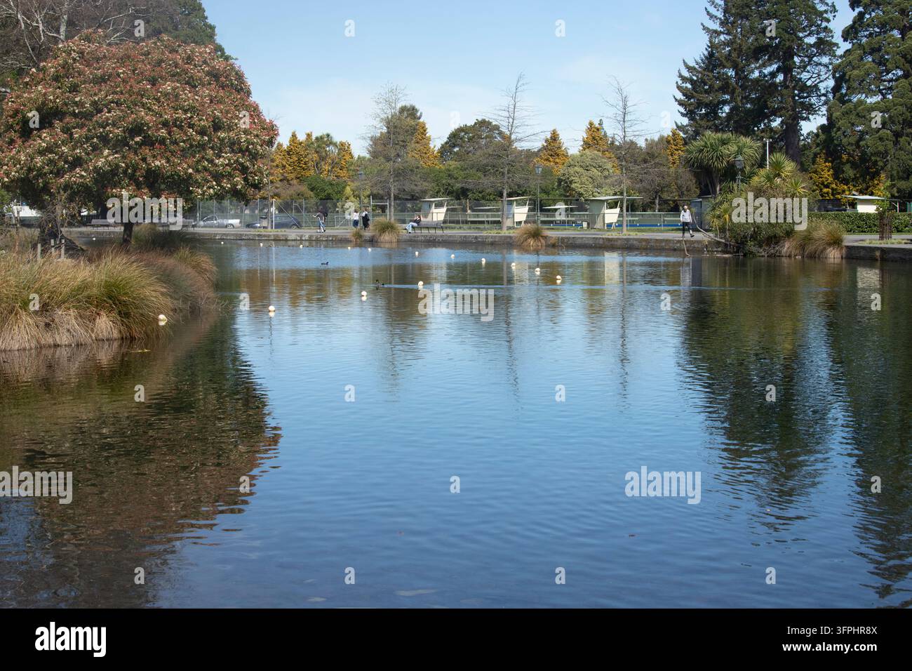 Le parc Queen Elizabeth, Masterton Banque D'Images