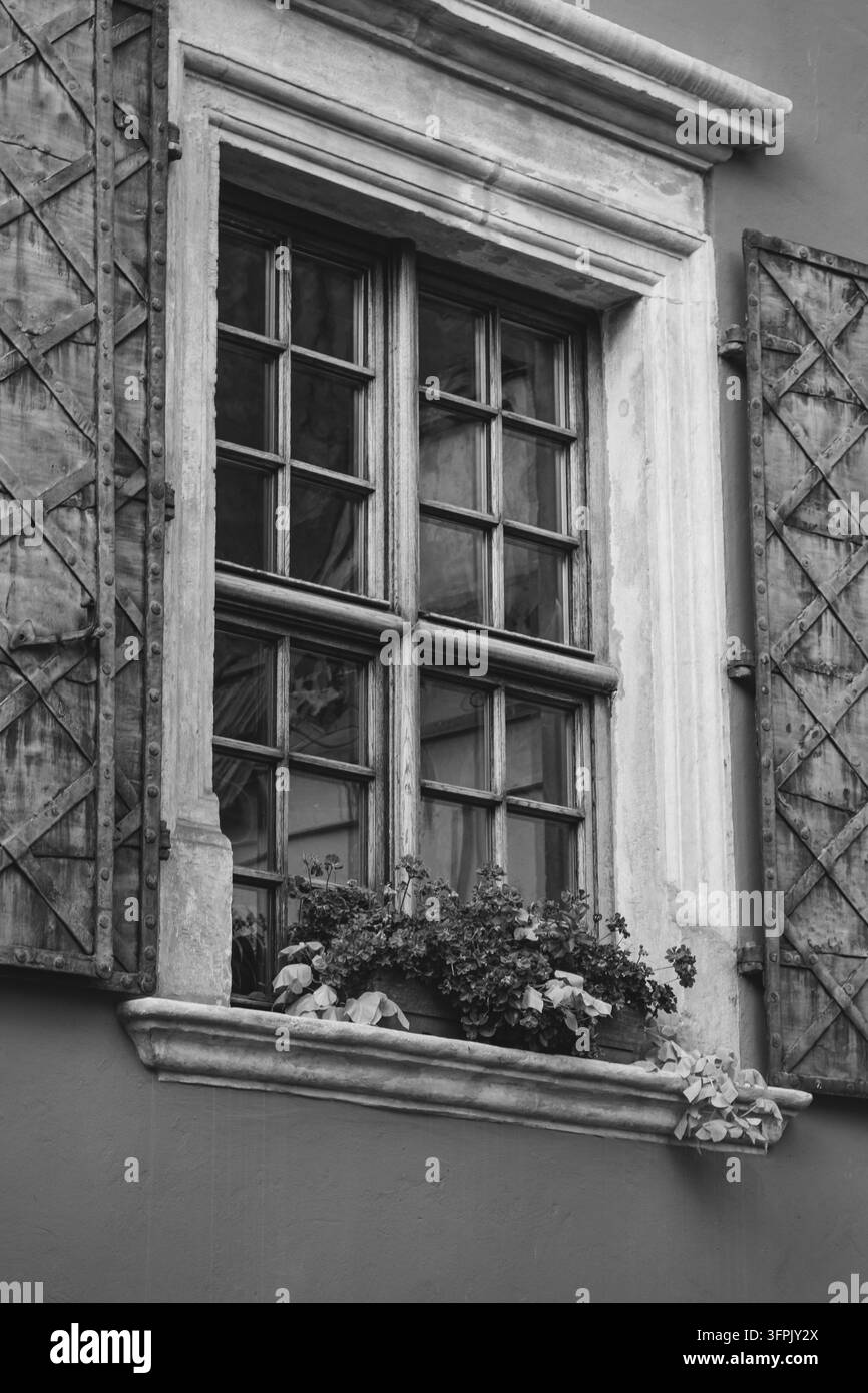 Mur avec volets et jardinières, monochrome. Architecture élégante à Lviv, Ukraine. Décoration de façade. Conception extérieure. Banque D'Images