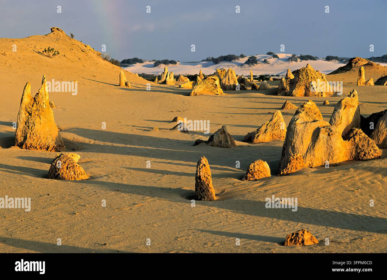 Les flèches de calcaire érodées projettent de longues ombres sur le sable jaune du parc national de Nambung, avec des dunes blanches et un arc-en-ciel discret au loin. Banque D'Images