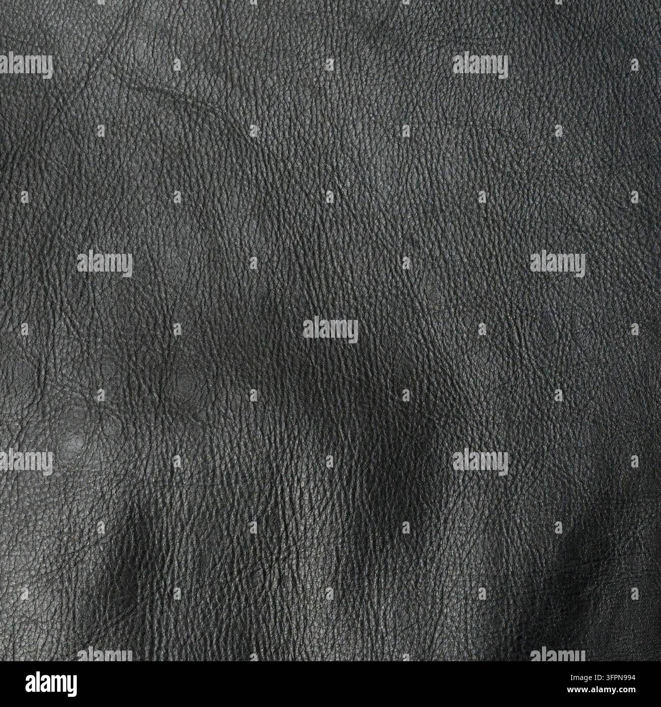 Vue rapprochée d'une texture de cuir noir avec un grain naturel clairement défini, des détails de surface en relief et en creux, ainsi que des reflets et des ombres contrastés Banque D'Images
