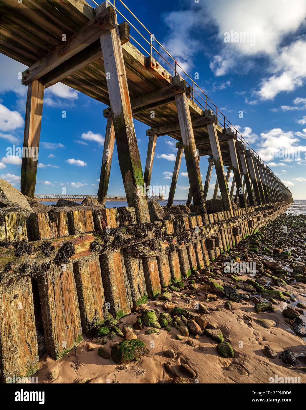 Une vue matinale en été par une journée ensoleillée du pier ouest de Blyth à Blyth dans le Northumberland, regardant vers le pier est et le phare du port de Blyth Banque D'Images