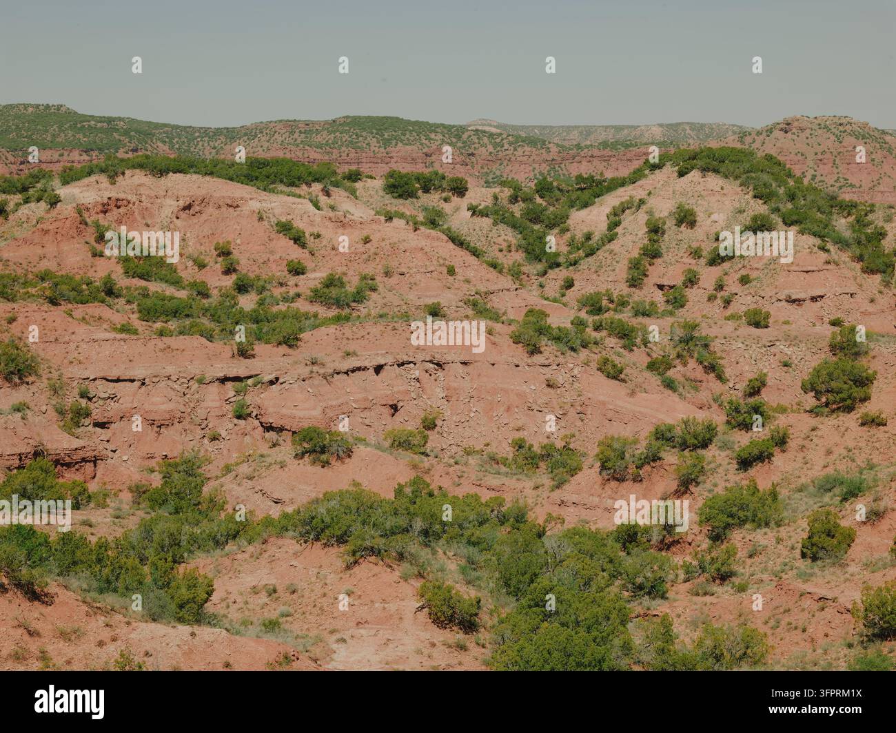 Badlands de roches rouges stratifiées et genévriers dispersés dans le pays des canyons du Caprock Canyons State Park, Texas Banque D'Images