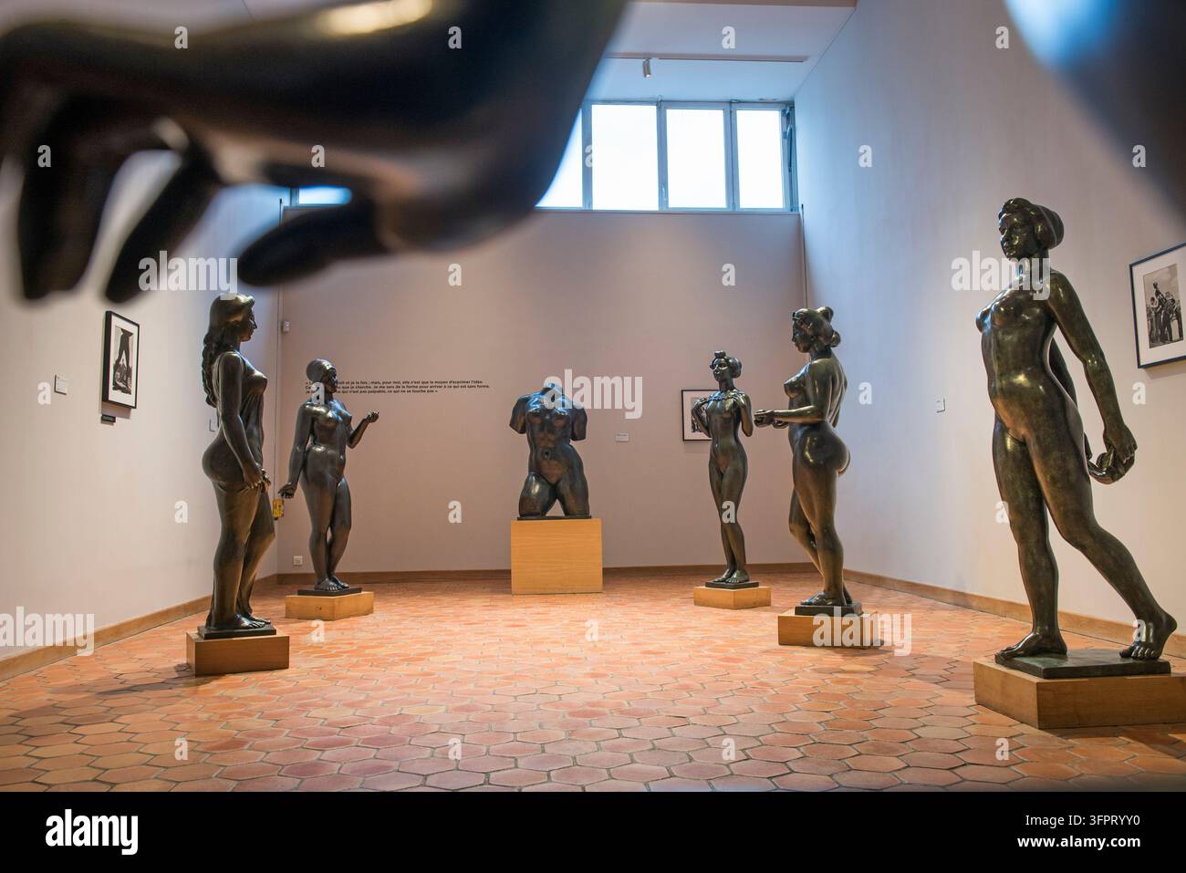 Salle de bronze au Musae Maillol, musée d'art dans le 7e arrondissement de Paris, Île-de-France, France Banque D'Images