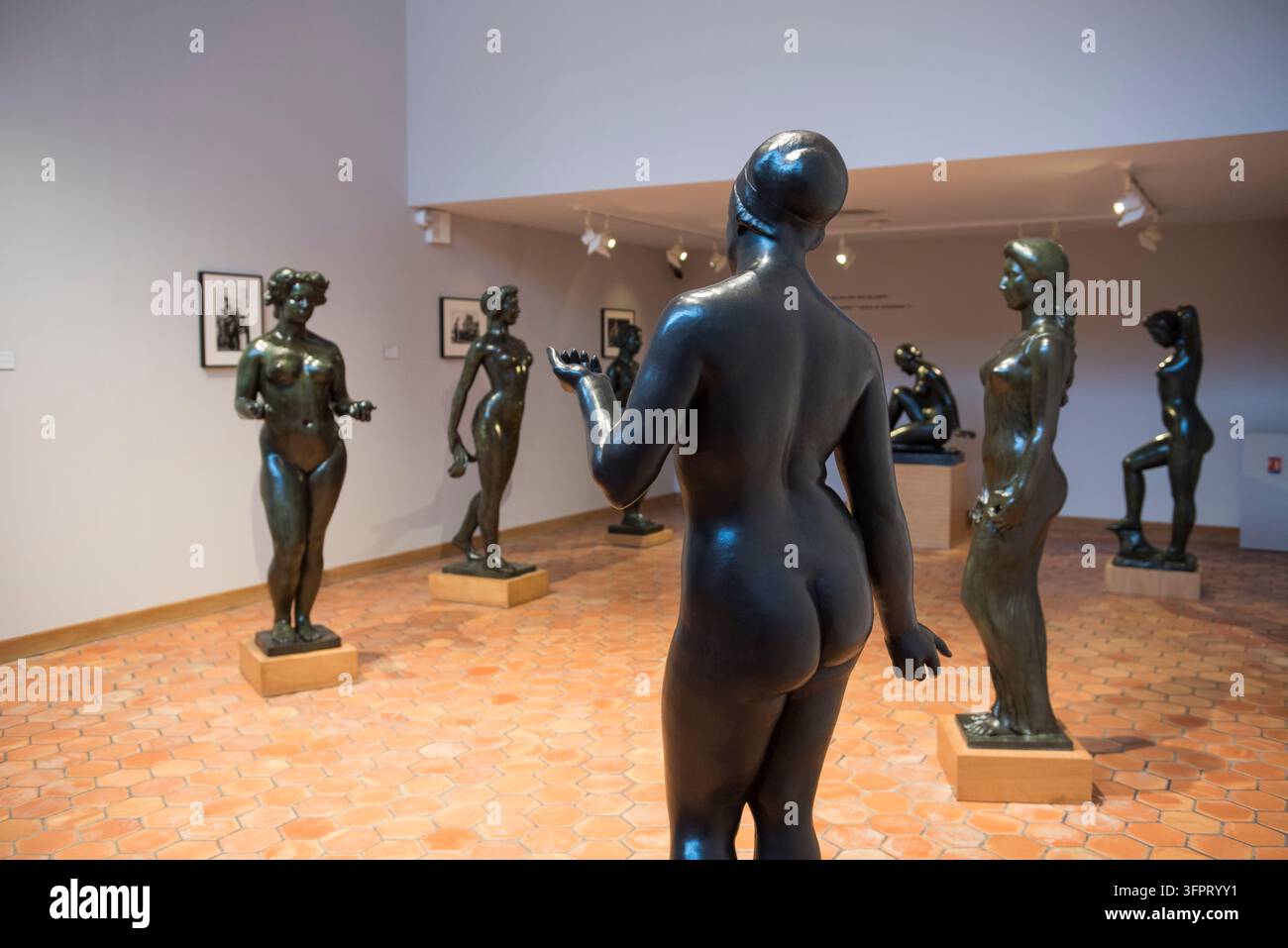 Salle de bronze au Musae Maillol, musée d'art dans le 7e arrondissement de Paris, Île-de-France, France Banque D'Images