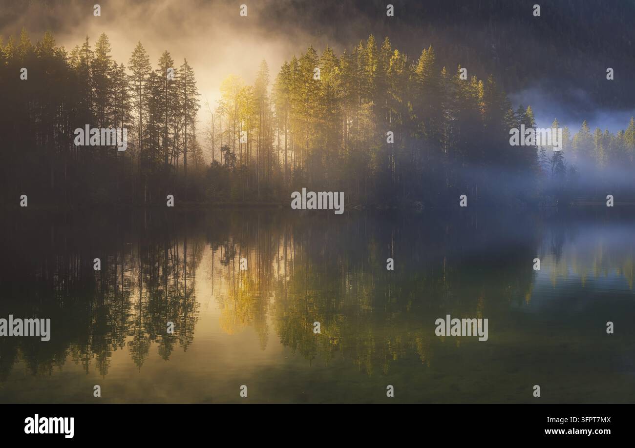 Vue du lac brumeux de Hintersee entouré de forêt de conifères avec une lumière dorée du matin se reflétant sur l'eau calme à Ramsau près de Berchtesgaden, B Banque D'Images