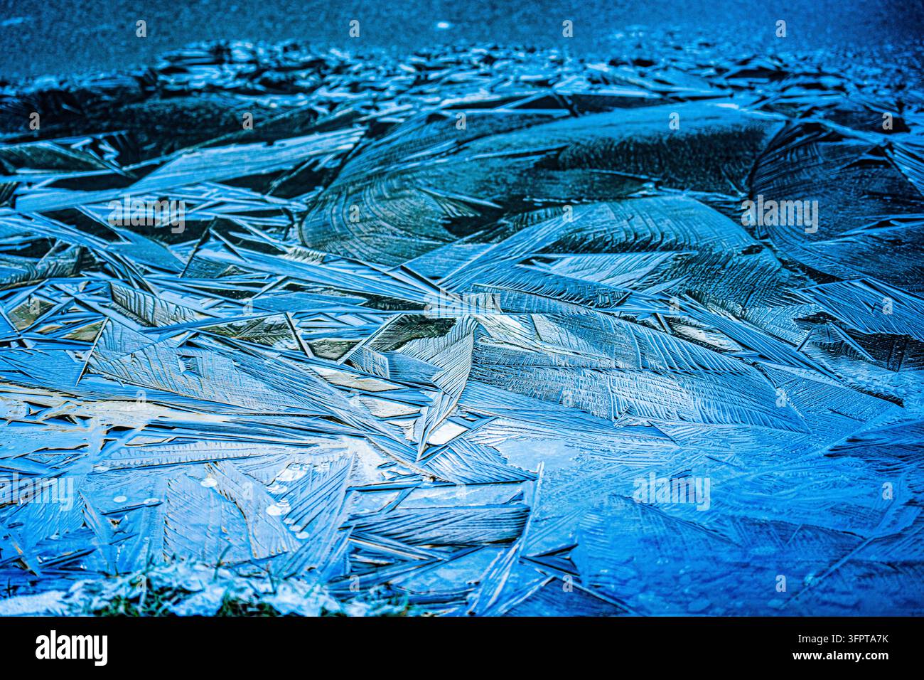 Vue de fragments de glace complexes et de motifs cristallins se formant sur une surface gelée au Royaume-Uni. Banque D'Images