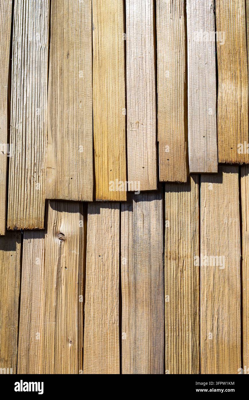 Close-up d'un revêtement mural en bois naturel composé de planches verticales chevillées sous le soleil, texture rustique de grain de bois avec des tons beige chauds et Banque D'Images