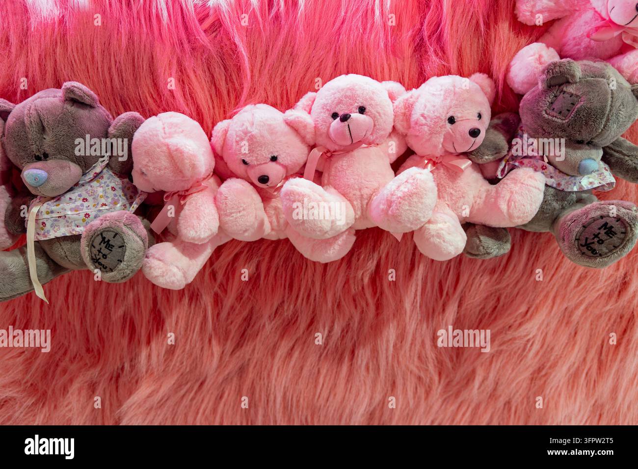 Ours en peluche roses sur fond moelleux. Rangée d'ours en peluche doux rose et gris exposés contre un fond rose duveteux, créant une ambiance mignonne, ludique et Banque D'Images