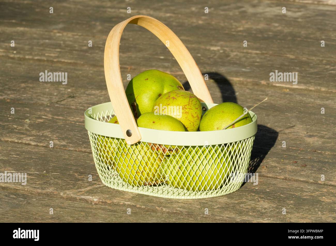 Poires vertes dans un panier sur un fond en bois. Récolte. Banque D'Images