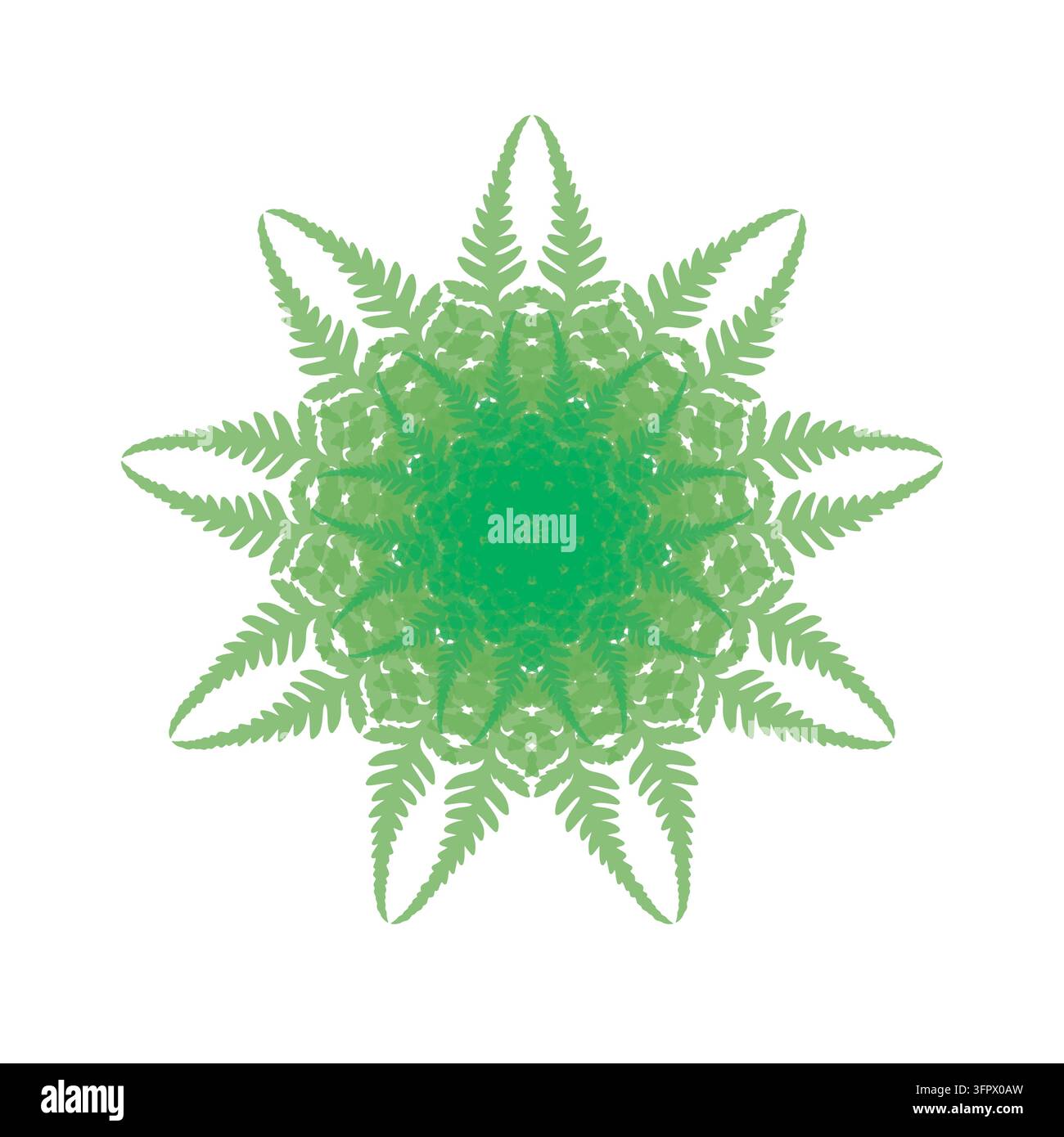 Illustration botanique éco minimaliste d'un emblème mandala d'élegante feuille de fougère verte sur fond blanc isolé Banque D'Images