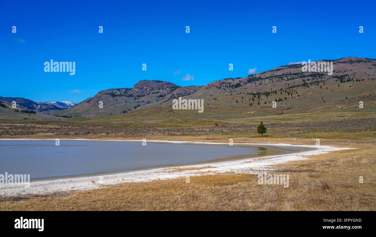 Sels minéraux autour du périmètre d'un petit lac dans la région aride d'Okanagan en Colombie-Britannique, Canada Banque D'Images