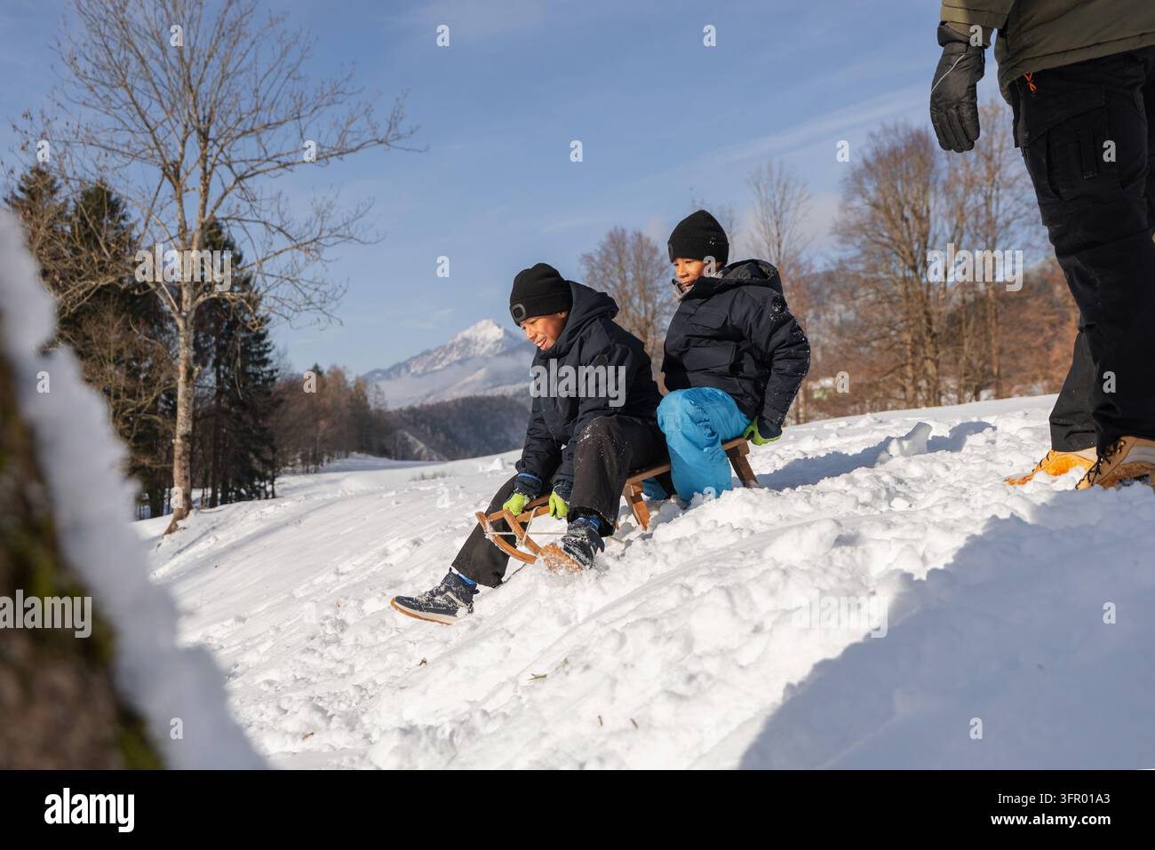 Deux enfants font du traîneau avec leur père sur une colline enneigée, profitant d'une activité familiale passionnante en plein air lors d'une journée d'hiver. Banque D'Images