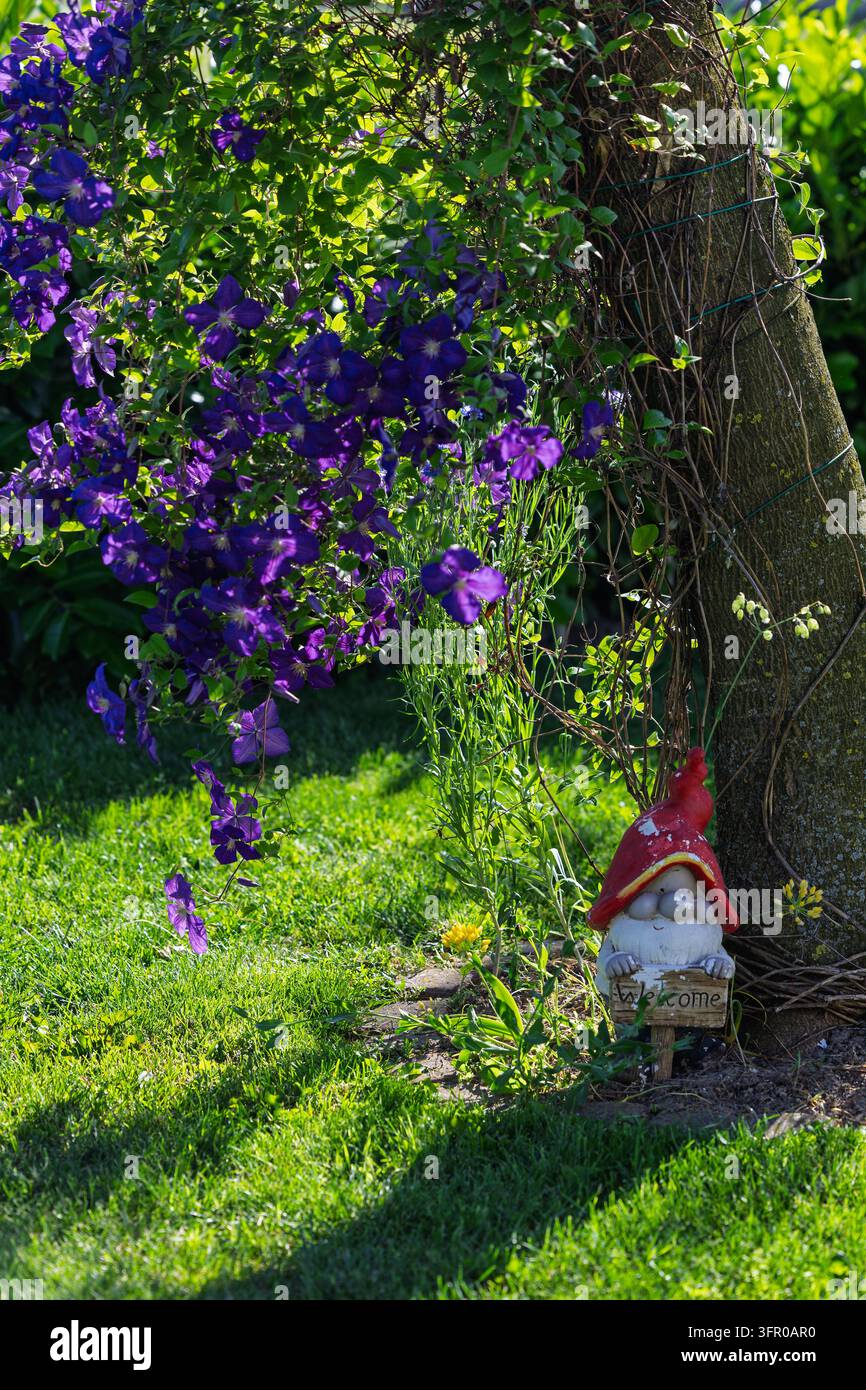 Un nain de jardin joyeux tenant un panneau « bienvenue » niché à la base d’un arbre parmi des clématites violettes, une herbe verte éclatante et un feuillage baigné de soleil, évoquant le charme, ho Banque D'Images