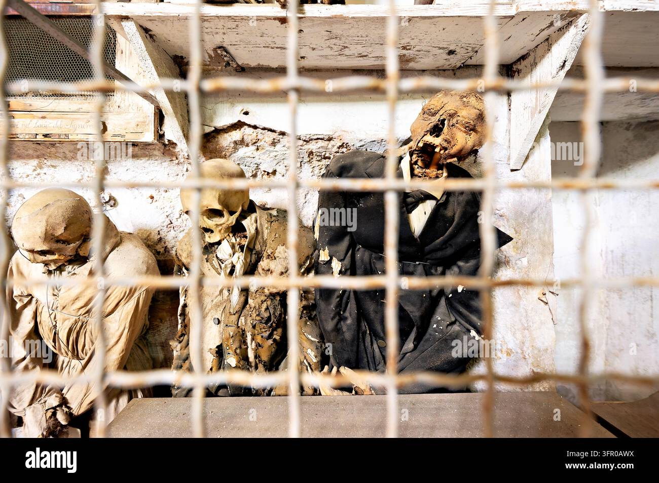Des restes momifiés habillés, y compris un homme en costume noir, se tiennent derrière une grille métallique rouillée dans une crypte en Sicile, dans le sud de l'Italie. Banque D'Images